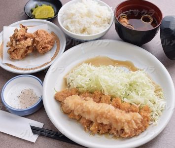 ミニヒレおろし＆若鶏唐揚げ定食