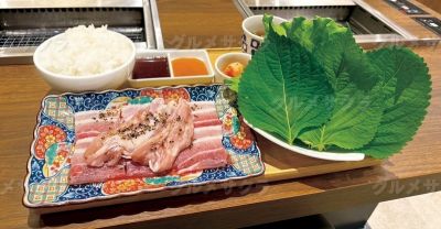 焼肉食堂 だいこく亭